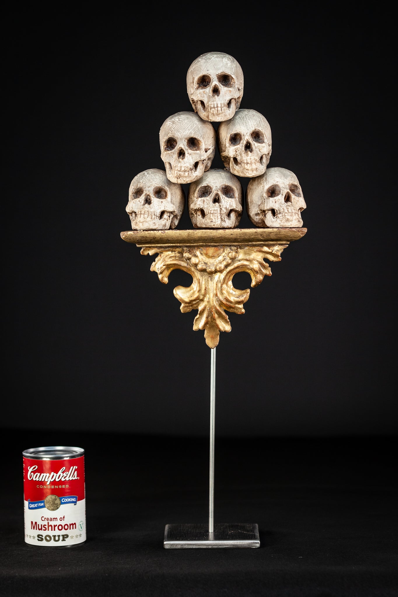 Memento Mori | 6 Skulls 18th Century 13"