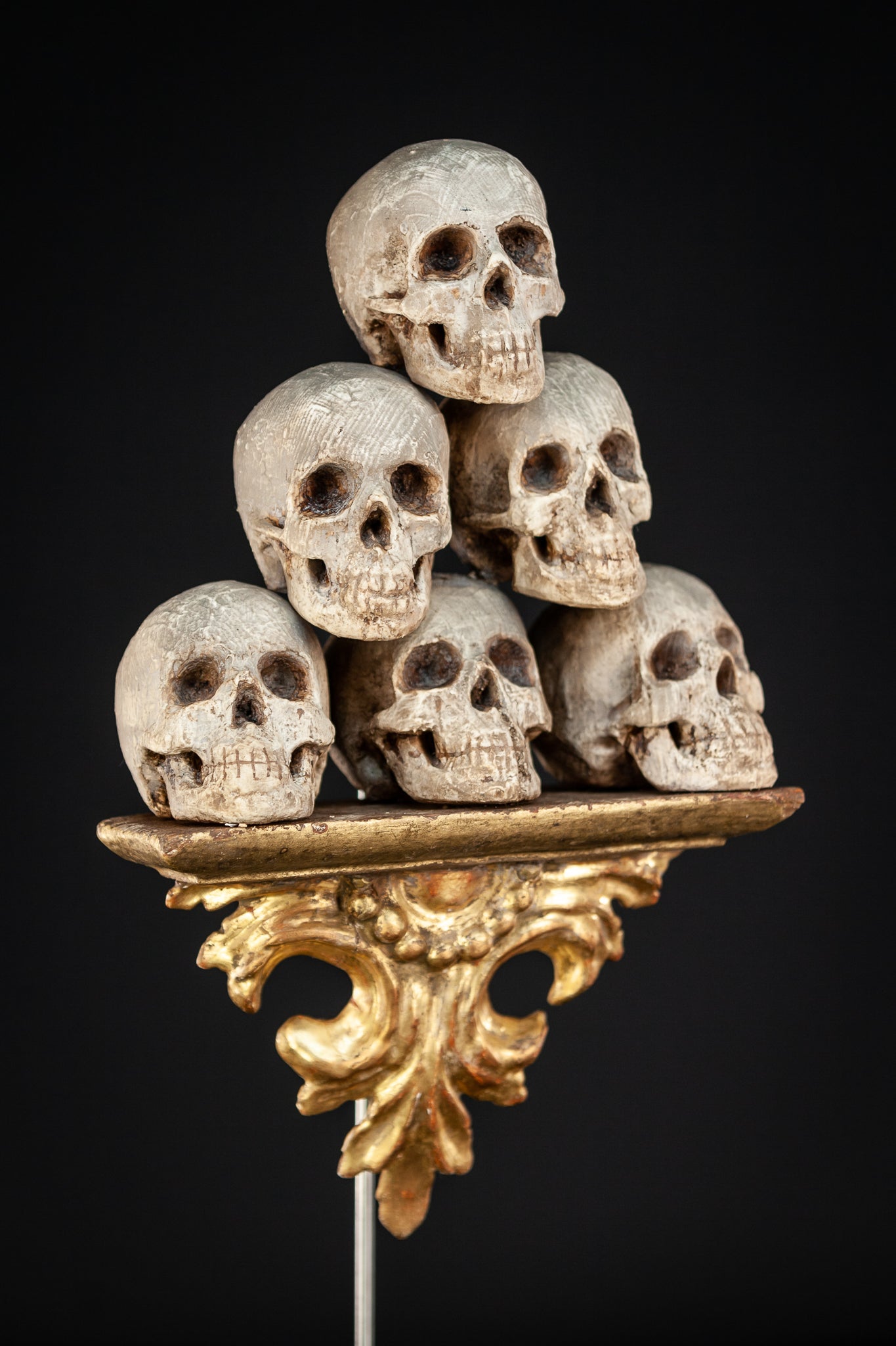 Memento Mori | 6 Skulls 18th Century 13"