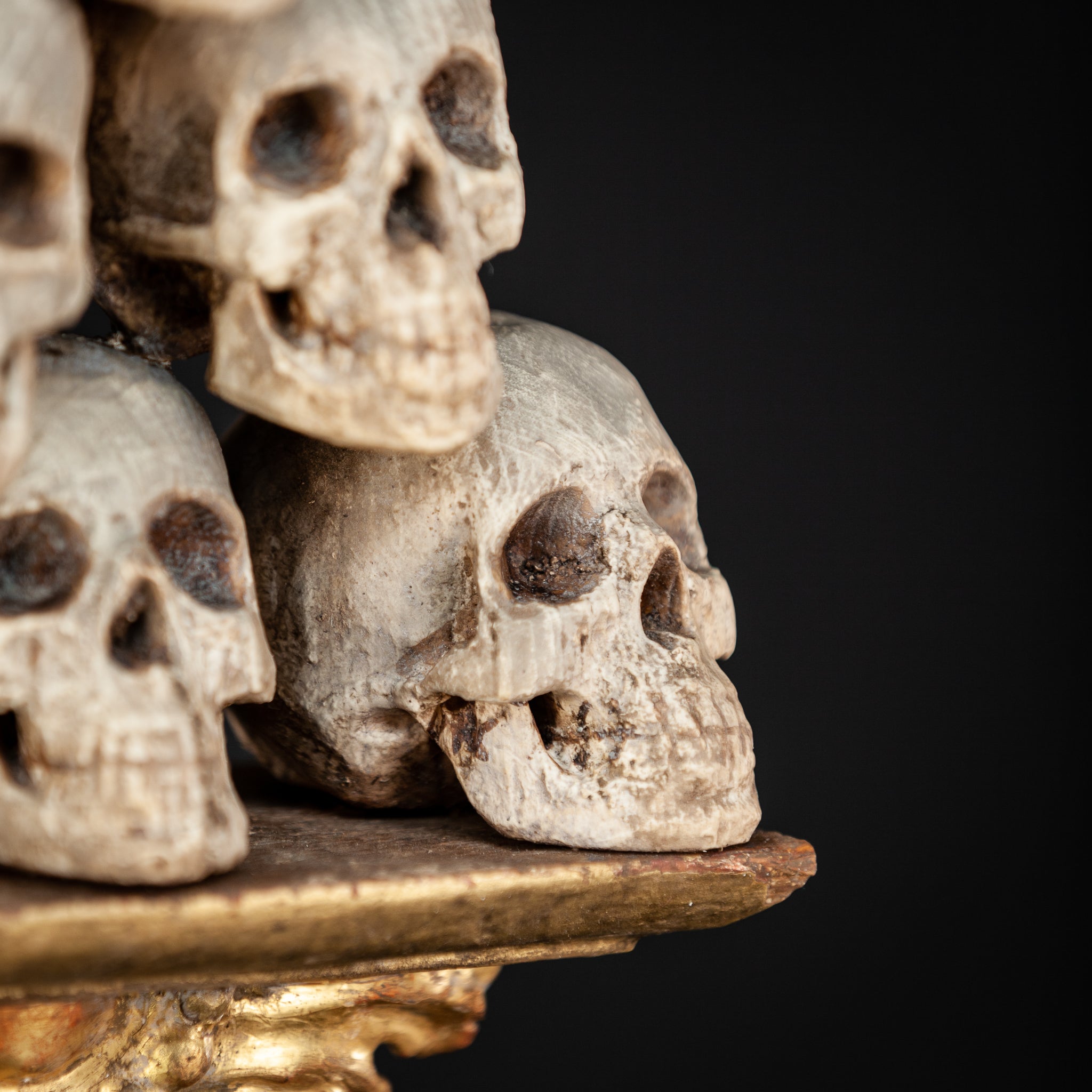 Memento Mori | 6 Skulls 18th Century 13"