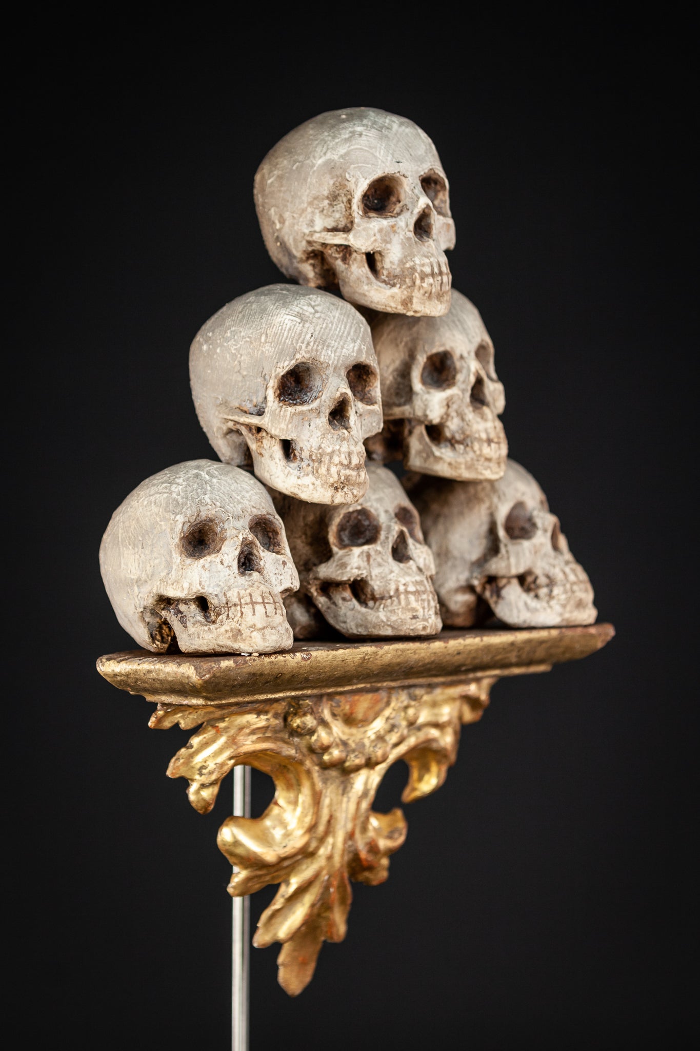 Memento Mori | 6 Skulls 18th Century 13"