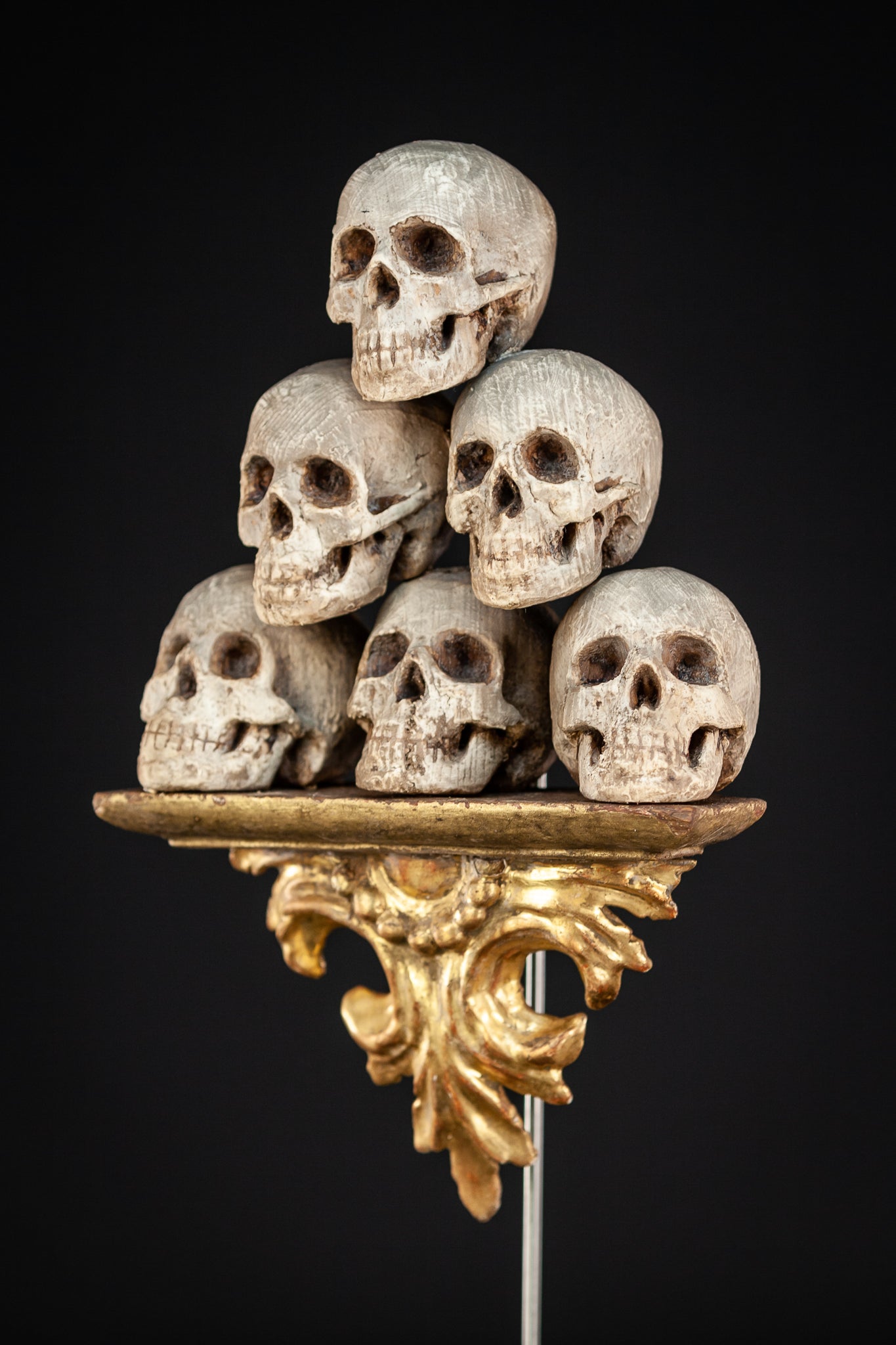 Memento Mori | 6 Skulls 18th Century 13"