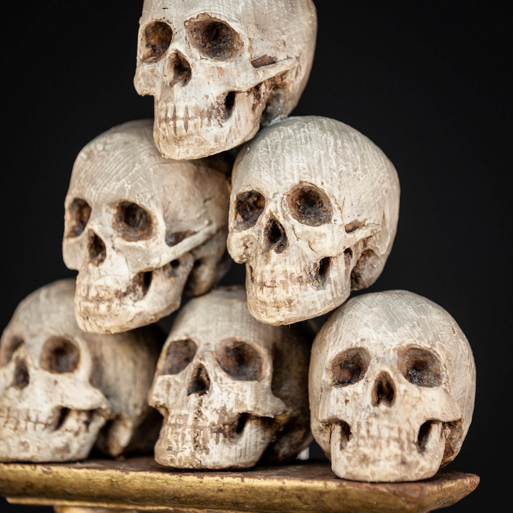 Memento Mori | 6 Skulls 18th Century 13"