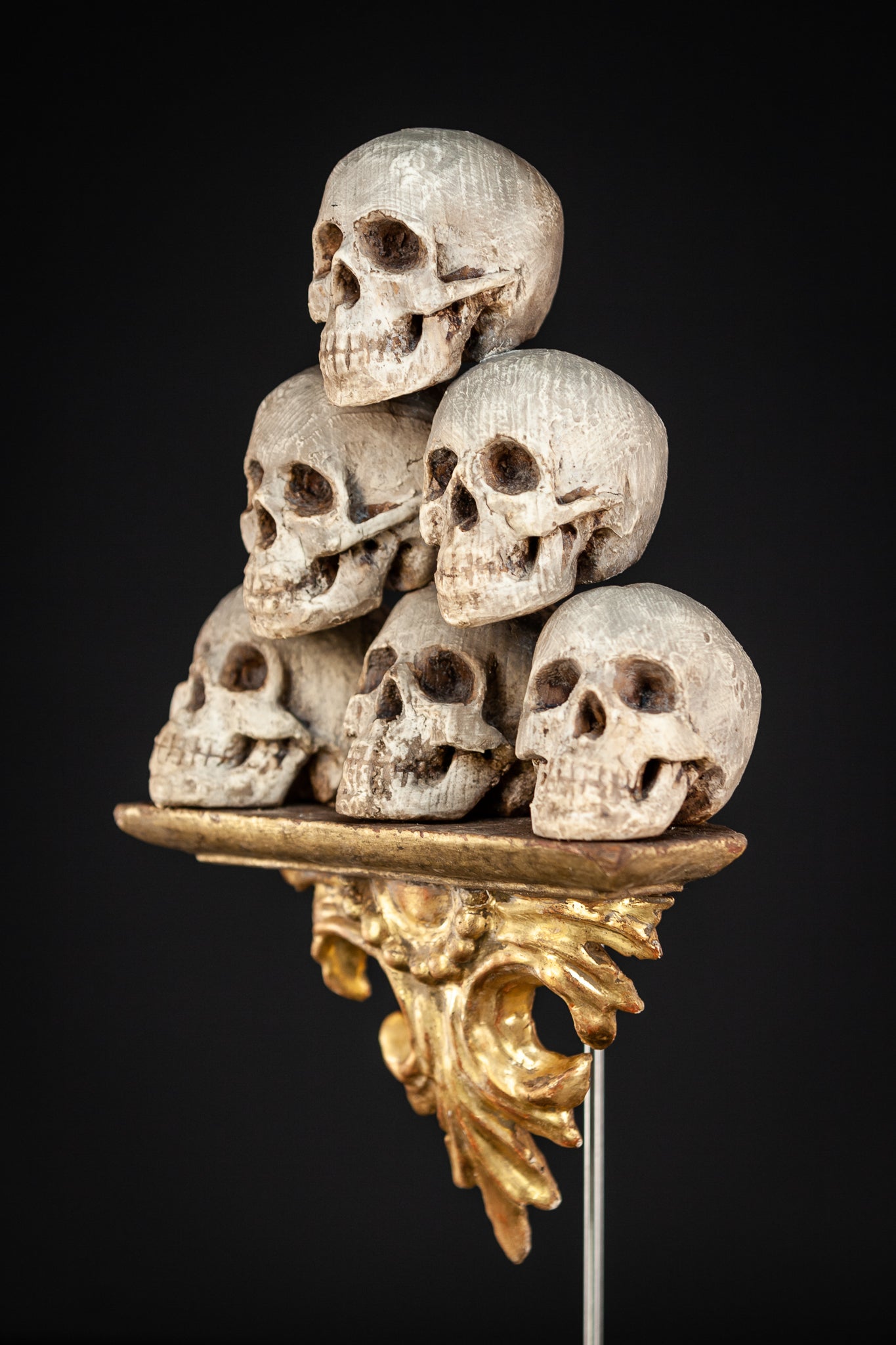 Memento Mori | 6 Skulls 18th Century 13"