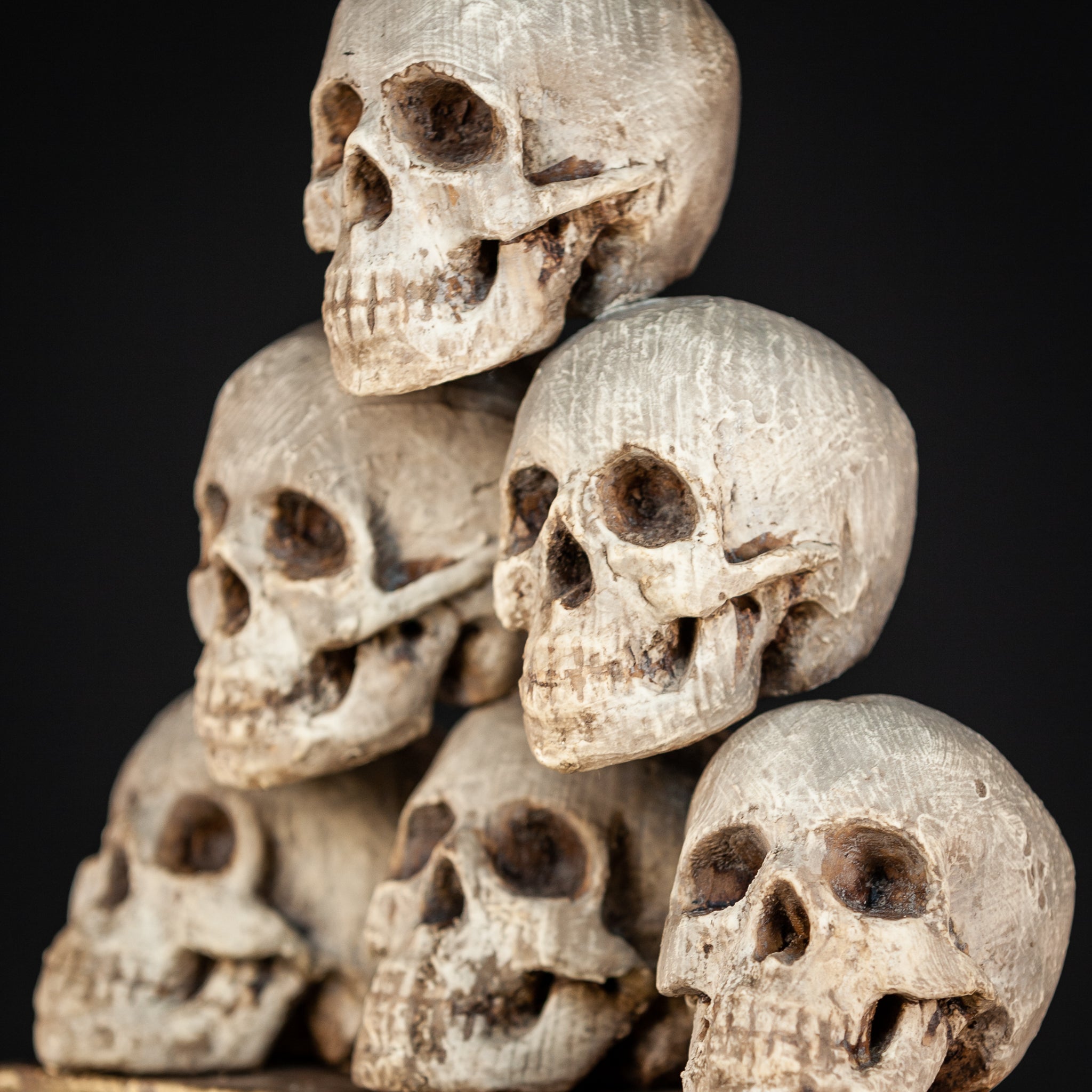 Memento Mori | 6 Skulls 18th Century 13"