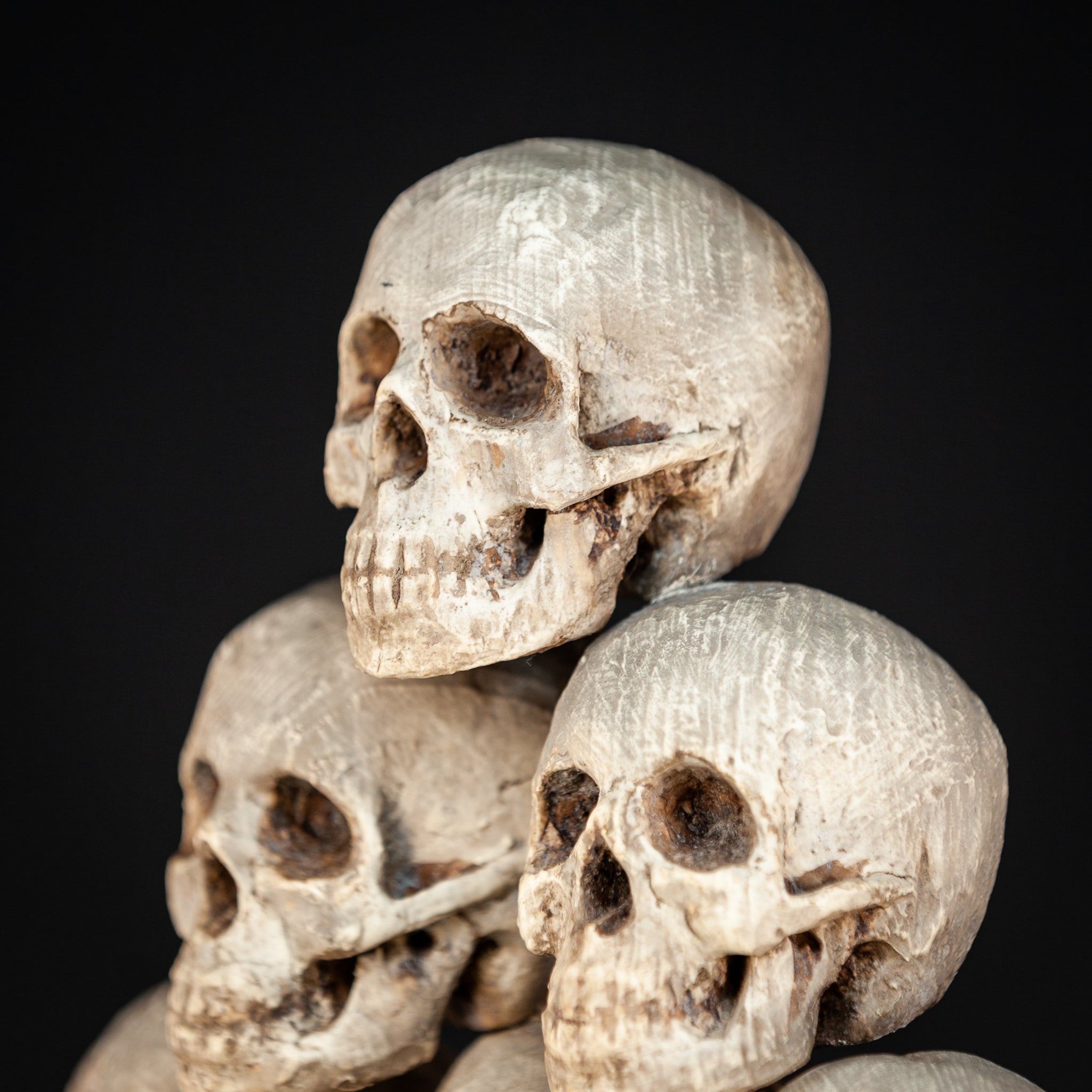 Memento Mori | 6 Skulls 18th Century 13"