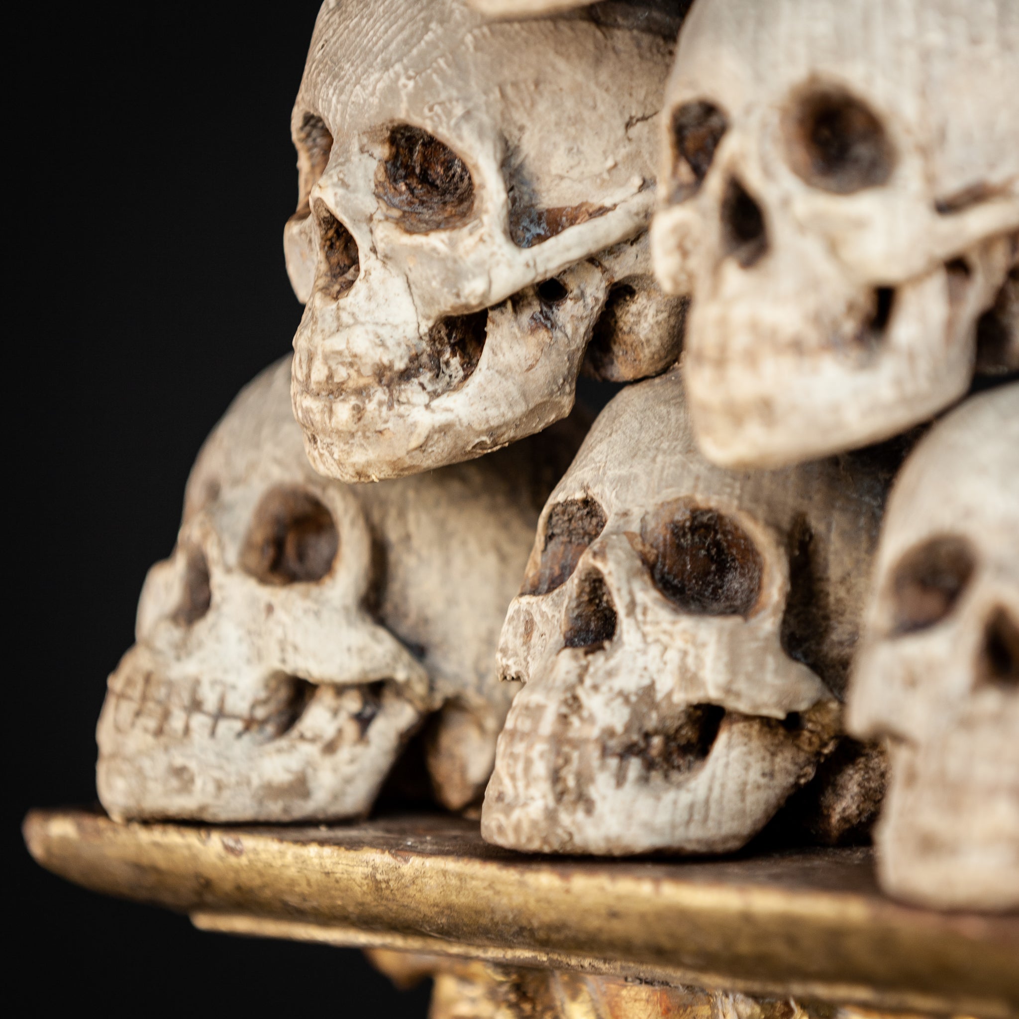 Memento Mori | 6 Skulls 18th Century 13"