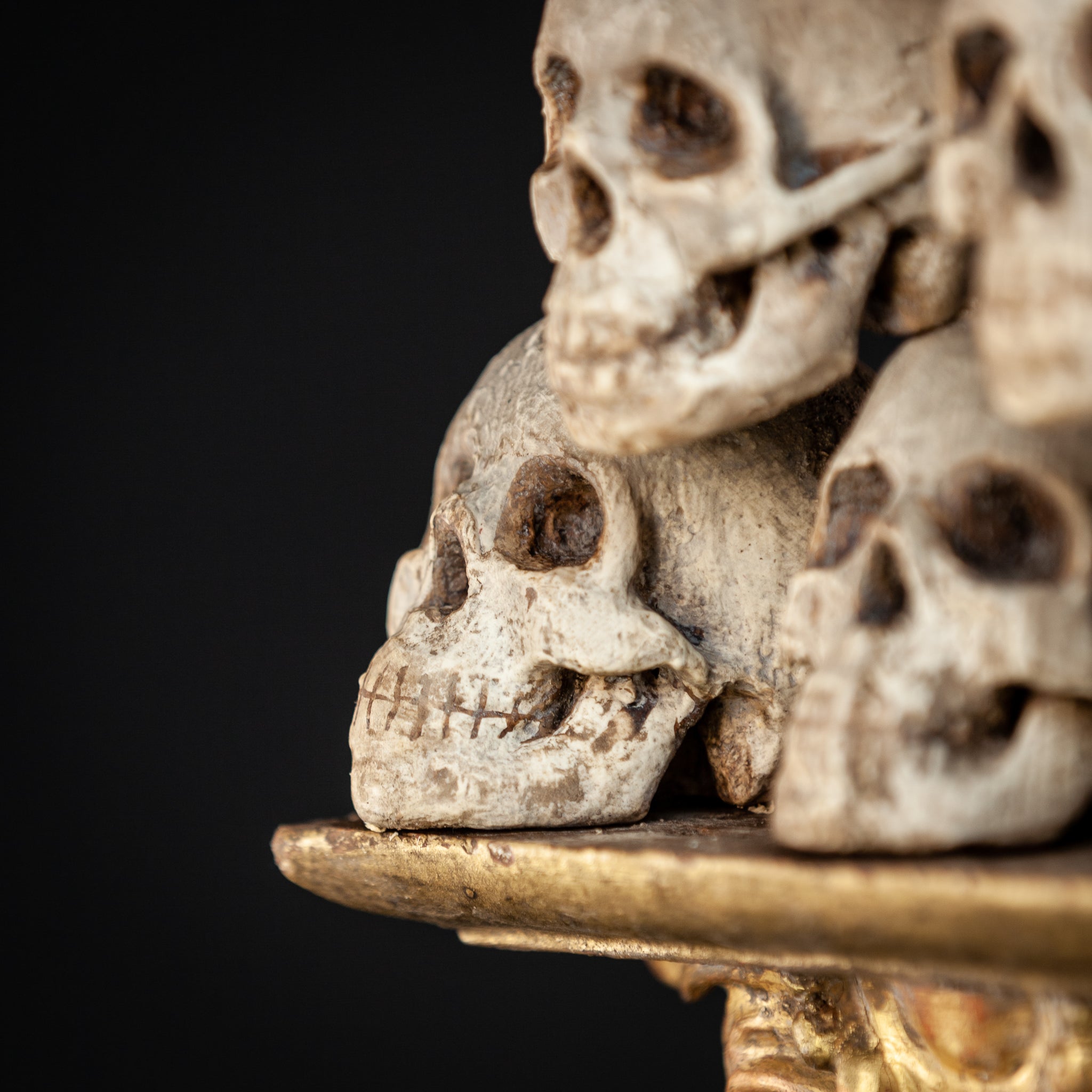 Memento Mori | 6 Skulls 18th Century 13"