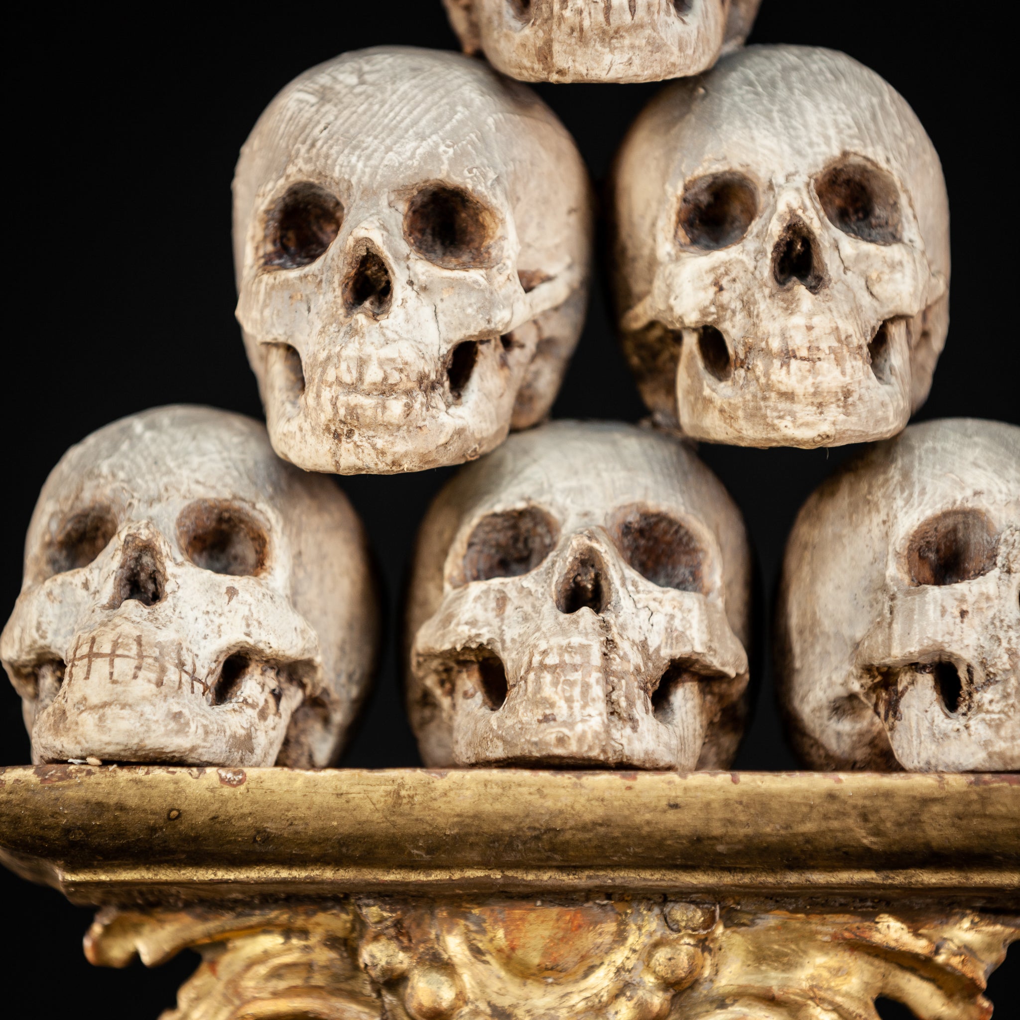 Memento Mori | 6 Skulls 18th Century 13"